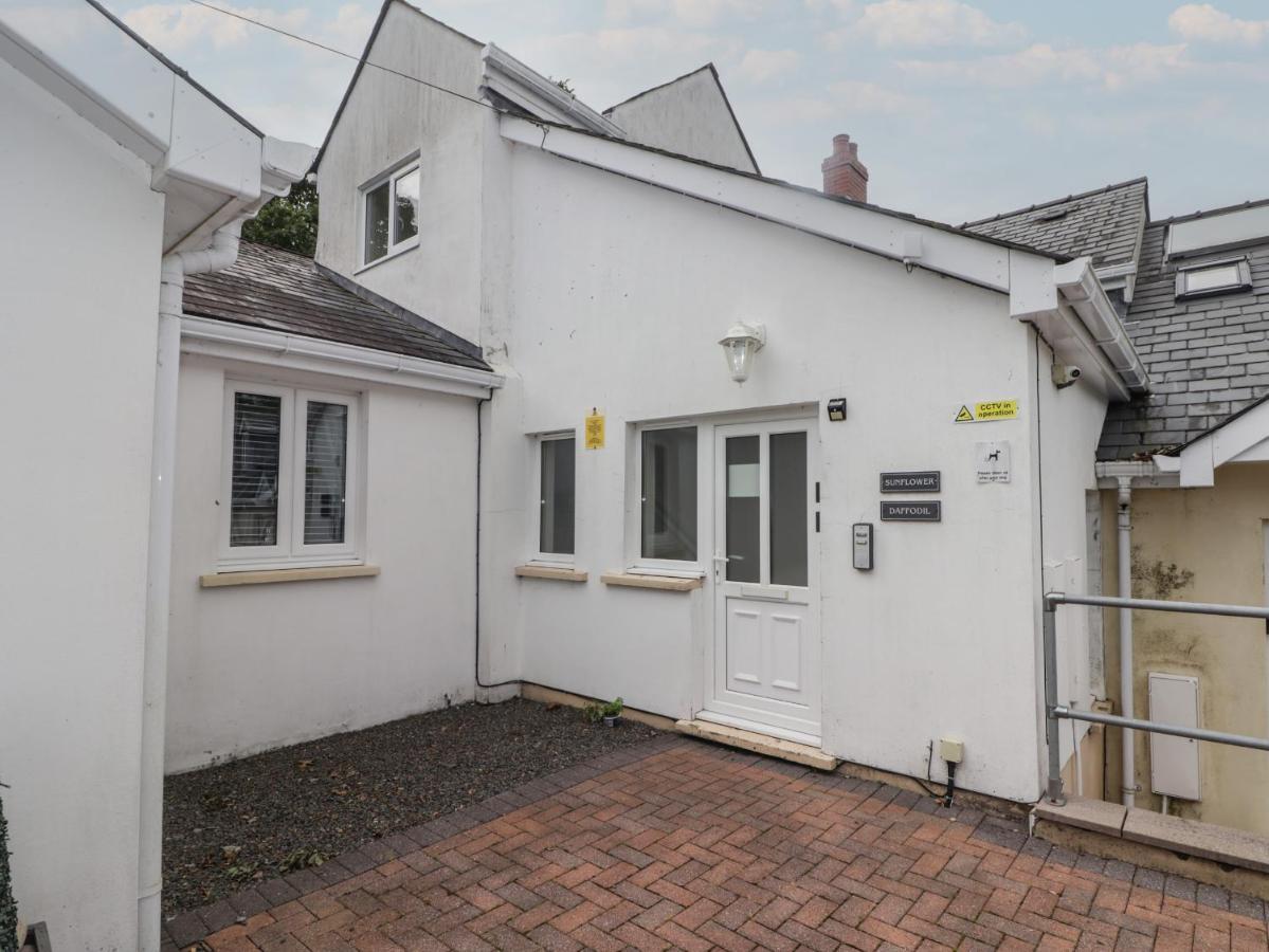 Daffodil Apartment Tenby Exterior foto